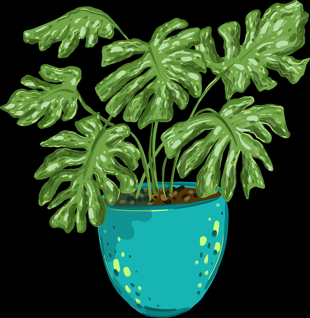 榴莲社区商业模式：暗黑模式内行视角