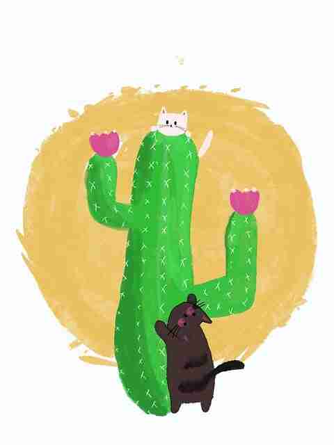 榴莲社区商业模式：暗黑模式内行视角