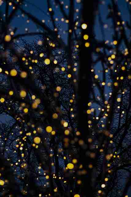 音轨选择！蘑菇影视官网幕后故事暴击