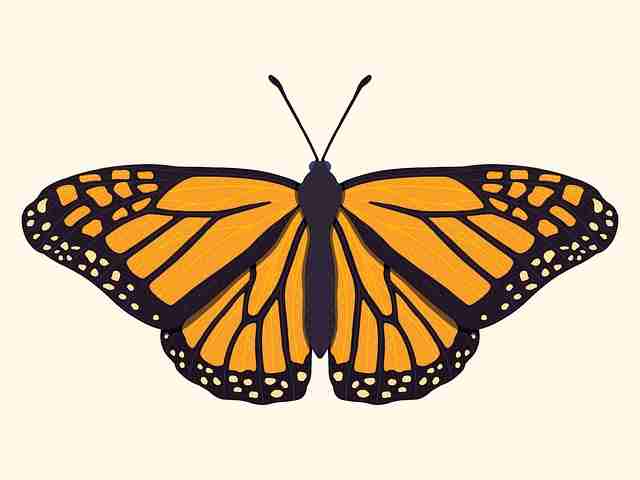 久久网页爆点速览：创作马拉松榜单