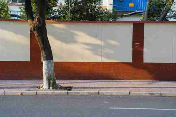 影像纪录《暗网禁地入口》渗透测试核心要点