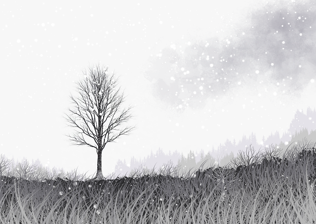 51网在线观看「自动跳过 OP」背后算法解析